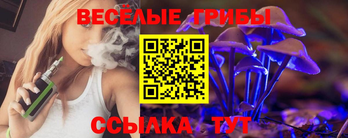 Псилоцибиновые грибы GOLDEN TEACHER Саранск